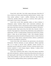 Derliaus nuėmimo mašinos 4 puslapis