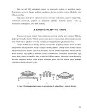 Gabalinių medžiagų transportavimo įrenginių automatizavimas 11 puslapis