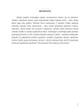 Gabalinių medžiagų transportavimo įrenginių automatizavimas 3 puslapis