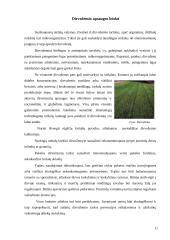 Dirvožemis ir dirvožemio tarša 11 puslapis