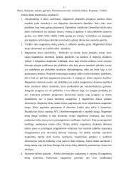 Diskinių kaupiklių rūšys ir jų palyginimas 11 puslapis