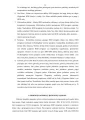 Diskinių kaupiklių rūšys ir jų palyginimas 13 puslapis