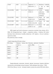 Diskinių kaupiklių rūšys ir jų palyginimas 17 puslapis