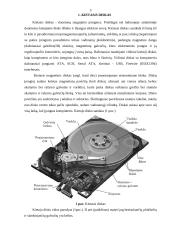 Diskinių kaupiklių rūšys ir jų palyginimas 5 puslapis