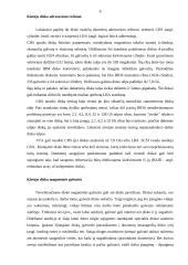 Diskinių kaupiklių rūšys ir jų palyginimas 6 puslapis