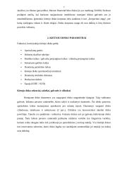 Diskinių kaupiklių rūšys ir jų palyginimas 7 puslapis