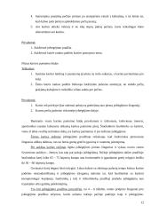 Geriausių Lietuvos šuolininkių su kartimi įsibėgėjimo greičių ir atsispyrimo technikos analizė 11 puslapis