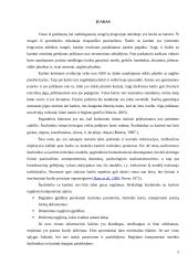 Geriausių Lietuvos šuolininkių su kartimi įsibėgėjimo greičių ir atsispyrimo technikos analizė 4 puslapis