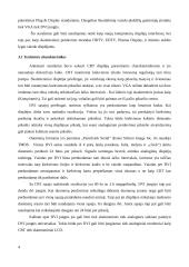 Displėjų sąsajos 4 puslapis