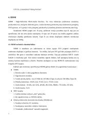 Displėjų sąsajos 7 puslapis