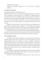 Displėjų sąsajos 9 puslapis