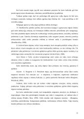 Grupės aplinka ir 2-3 metų vaikų elgesys 12 puslapis