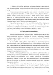 Grupės aplinka ir 2-3 metų vaikų elgesys 13 puslapis