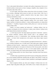 Grupės aplinka ir 2-3 metų vaikų elgesys 14 puslapis