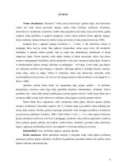 Grupės aplinka ir 2-3 metų vaikų elgesys 4 puslapis