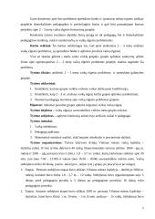 Grupės aplinka ir 2-3 metų vaikų elgesys 5 puslapis