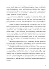 Grupės aplinka ir 2-3 metų vaikų elgesys 9 puslapis