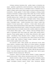 Ignalinos atominės elektrinės sistemų panaudojimo naujoje atominėje elektrinėje galimybių studija 17 puslapis