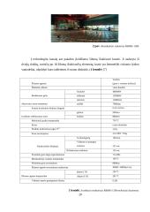 Ignalinos atominės elektrinės sistemų panaudojimo naujoje atominėje elektrinėje galimybių studija 20 puslapis