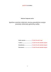 Ignalinos atominės elektrinės sistemų panaudojimo naujoje atominėje elektrinėje galimybių studija 3 puslapis