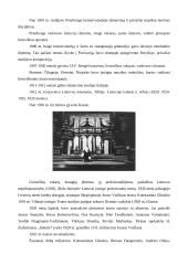 Dramaturgija 4 puslapis