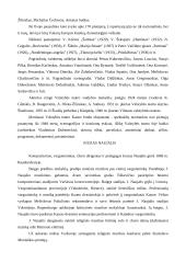 Dramaturgija 5 puslapis