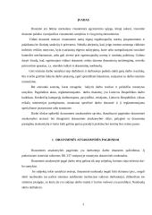 Drausminės atsakomybės pagrindai 3 puslapis