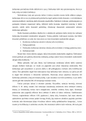 Drausminės atsakomybės pagrindai 6 puslapis