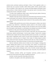 Įmonės asortimento politika ir ją lemiantys veiksniai: prekyba automobilių detalėmis Lietuvos-Vokietijos UAB "Hokla" 16 puslapis