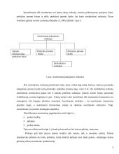 Įmonės asortimento politika ir ją lemiantys veiksniai: prekyba automobilių detalėmis Lietuvos-Vokietijos UAB "Hokla" 5 puslapis