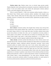 Įmonės asortimento politika ir ją lemiantys veiksniai: prekyba automobilių detalėmis Lietuvos-Vokietijos UAB "Hokla" 8 puslapis