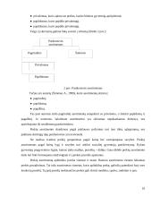 Įmonės asortimento politika ir ją lemiantys veiksniai: prekyba automobilių detalėmis Lietuvos-Vokietijos UAB "Hokla" 10 puslapis
