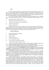 Duomenimis grįsta analizė 2 puslapis