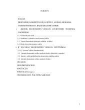 Įmonės ekonominės veiklos įvertinimas: IĮ "Jovaras" 2 puslapis