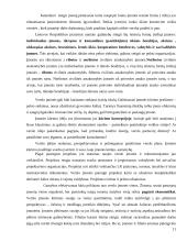 Įmonės ekonominės veiklos įvertinimas: IĮ "Jovaras" 11 puslapis