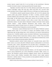 Įmonės ekonominės veiklos įvertinimas: IĮ "Jovaras" 14 puslapis
