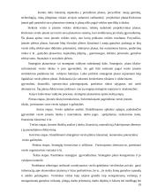 Įmonės ekonominės veiklos įvertinimas: IĮ "Jovaras" 19 puslapis