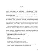 Įmonės ekonominės veiklos įvertinimas: IĮ "Jovaras" 3 puslapis