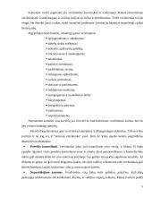Įmonės ekonominės veiklos įvertinimas: IĮ "Jovaras" 5 puslapis