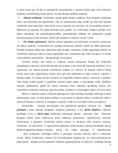 Įmonės ekonominės veiklos įvertinimas: IĮ "Jovaras" 6 puslapis