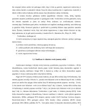 Įmonės ekonominės veiklos įvertinimas: IĮ "Jovaras" 7 puslapis