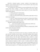 Įmonės ekonominės veiklos įvertinimas: IĮ "Jovaras" 9 puslapis