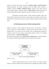Įmonės klientų aptarnavimo proceso valdymas: UAB "Čilija" 19 puslapis