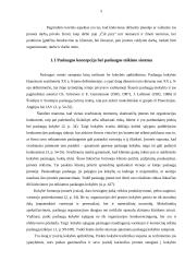 Įmonės klientų aptarnavimo proceso valdymas: UAB "Čilija" 5 puslapis