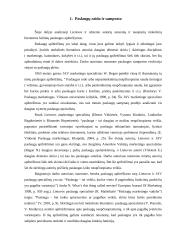 Įmonės teikiamų paslaugų analizė: AB "Snoras" 4 puslapis