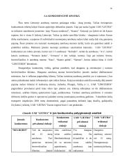 Įmonės veiklos analizė ir perspektyvos: autobusų nuomos UAB "Lietra" 15 puslapis
