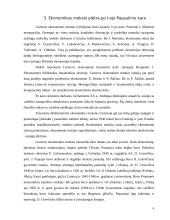 Ekonominės minties formavimasis Lietuvoje ir žymiausi ekonomistai 6 puslapis