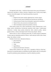 Išorinių sienų įrengimo technologija ir organizavimas 2 puslapis