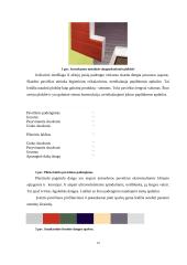 Išorinių sienų įrengimo technologija ir organizavimas 15 puslapis