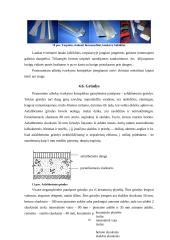 Išorinių sienų įrengimo technologija ir organizavimas 19 puslapis